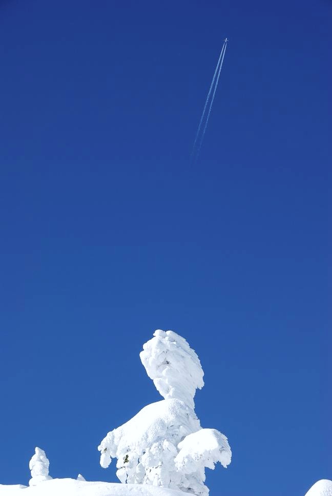b0062024_7523365.jpg