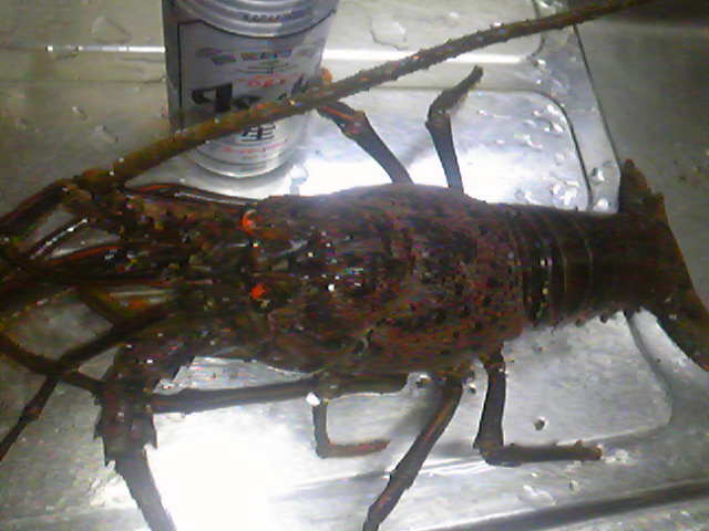 f0125225_23185461.jpg