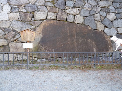 a0024829_239338.jpg