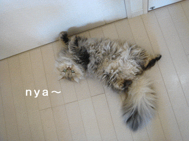 e0157129_18435662.gif