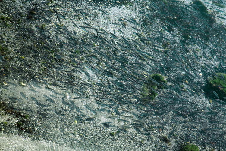 d0147530_7183934.jpg