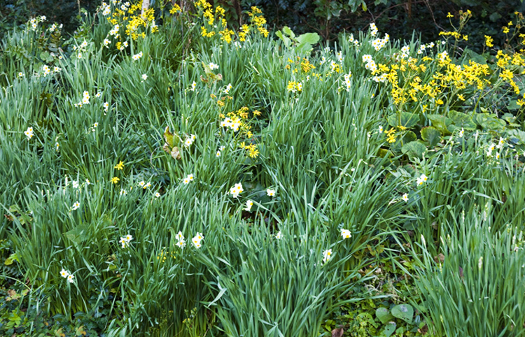 d0147530_722377.jpg