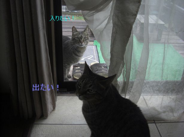 e0142430_13591954.jpg