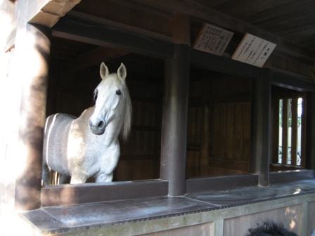 f0051638_23434136.jpg
