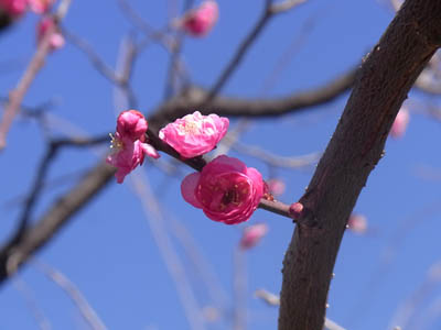 b0019140_15262544.jpg