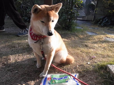 b0019140_15333873.jpg