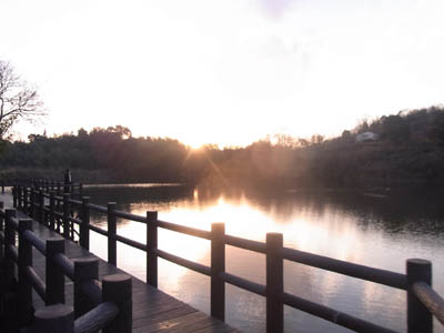 b0019140_15405295.jpg