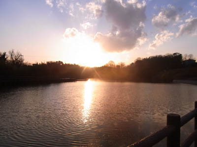 b0019140_15435112.jpg