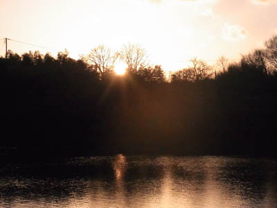 b0019140_1543839.jpg