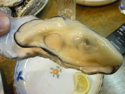 b0019140_15462471.jpg