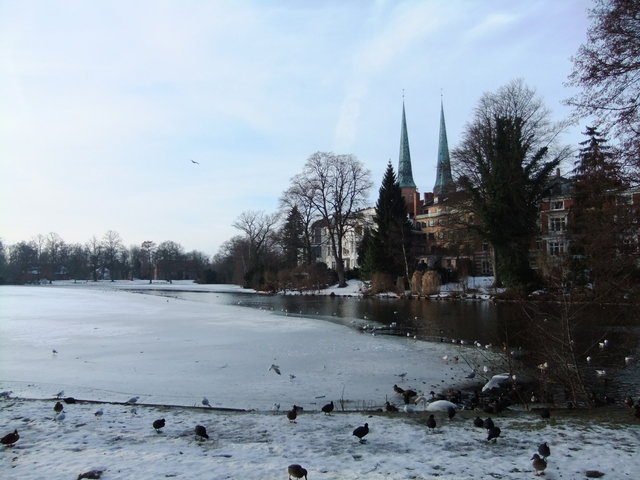 f0210340_2462529.jpg