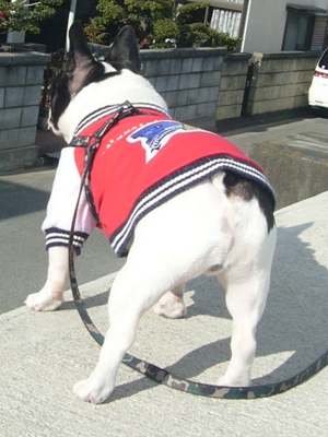 e0100046_1992896.jpg