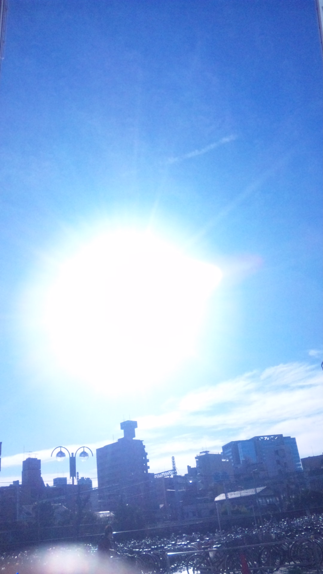 b0139547_959488.jpg