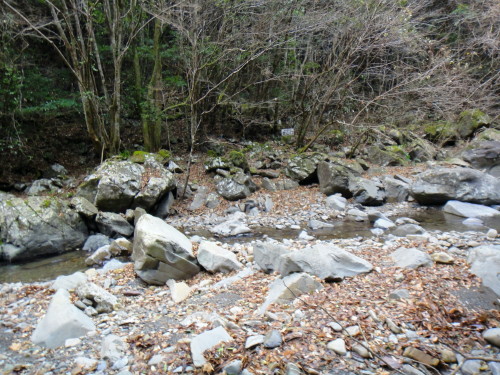 c0179351_1033993.jpg