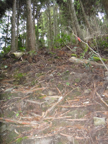 c0179351_10344318.jpg