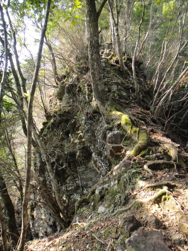 c0179351_10401837.jpg