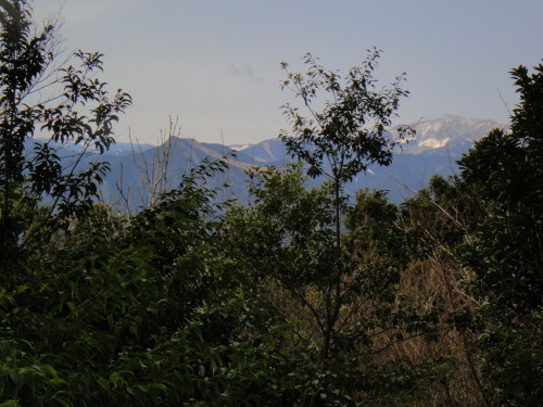 c0179351_10442315.jpg