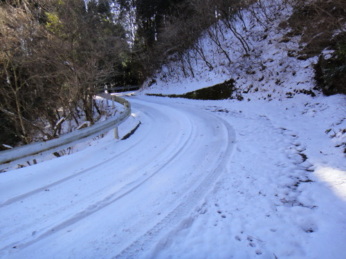c0179351_16581466.jpg
