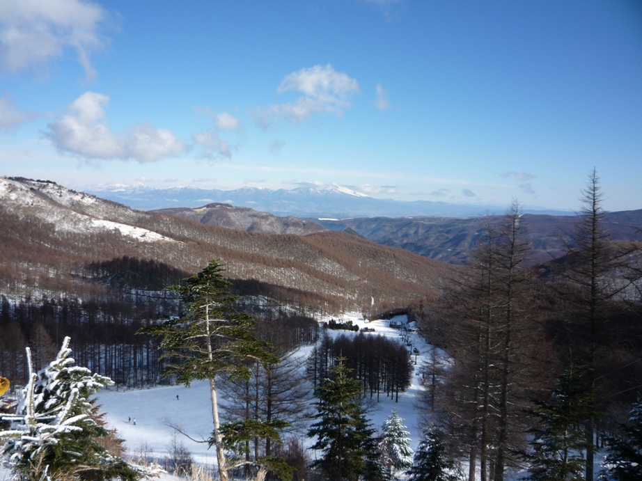 d0061857_19293725.jpg