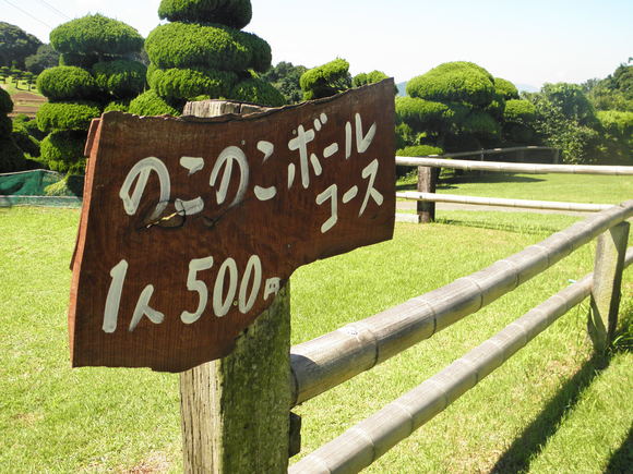 f0201157_0221699.jpg