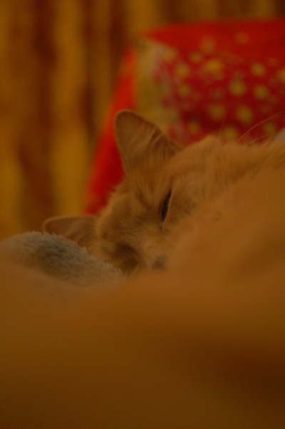 a0165358_2182356.jpg