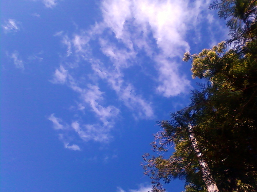 f0176458_12212629.jpg