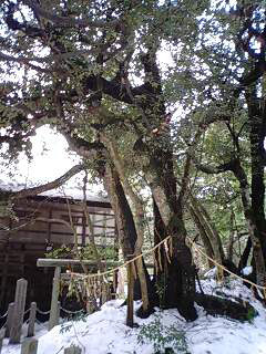 b0186959_16315674.jpg
