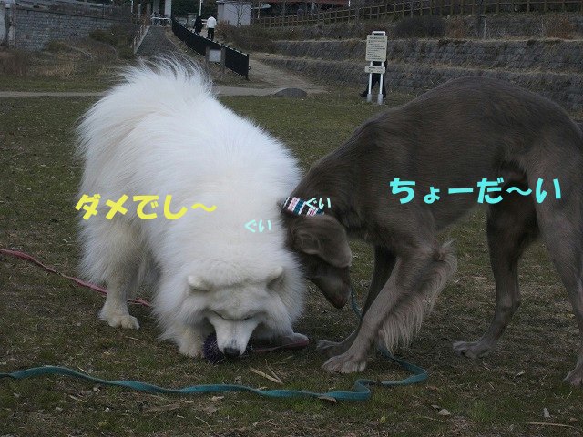 e0176159_19261751.jpg