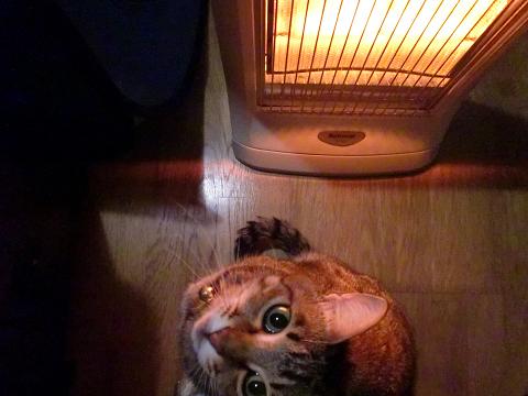 c0172261_0181537.jpg