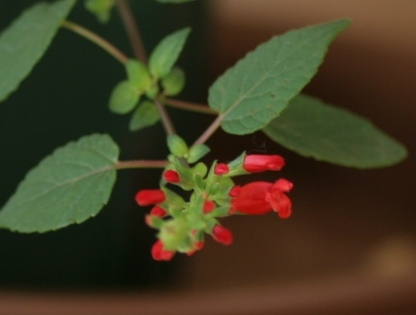c0186463_1916733.jpg