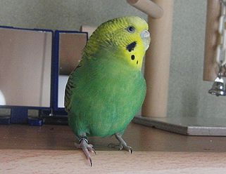 f0196665_23404053.jpg