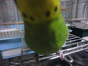 f0196665_23453437.jpg