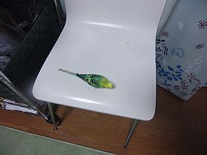 f0196665_2347025.jpg
