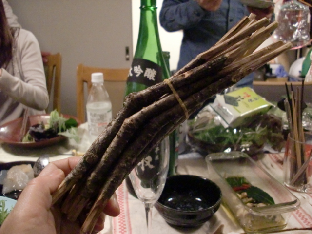 c0207868_226201.jpg