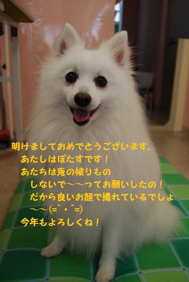 d0004968_22244589.jpg