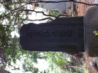f0207969_11194278.jpg