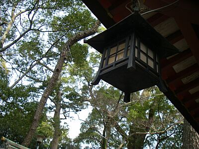 e0143671_1227476.jpg