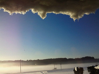 d0161575_1153321.jpg