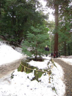 f0222277_10471183.jpg