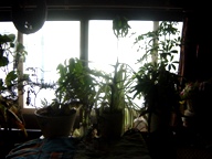 c0057781_13534034.jpg