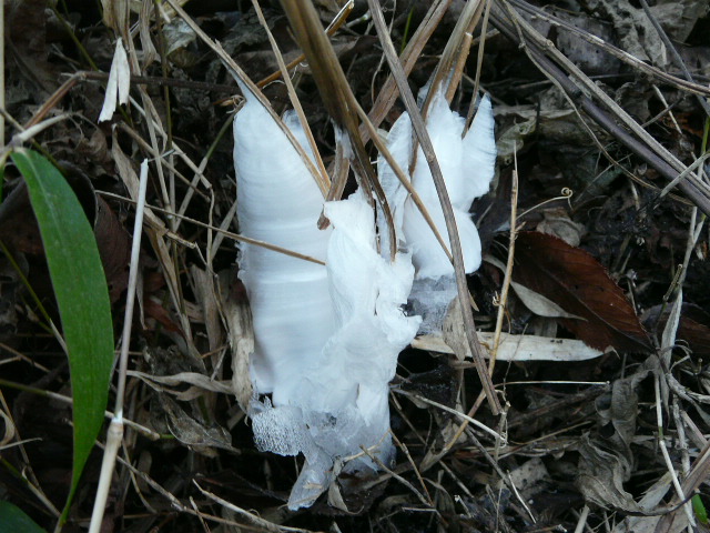 e0145782_94794.jpg
