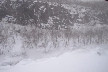 f0139282_14351465.jpg