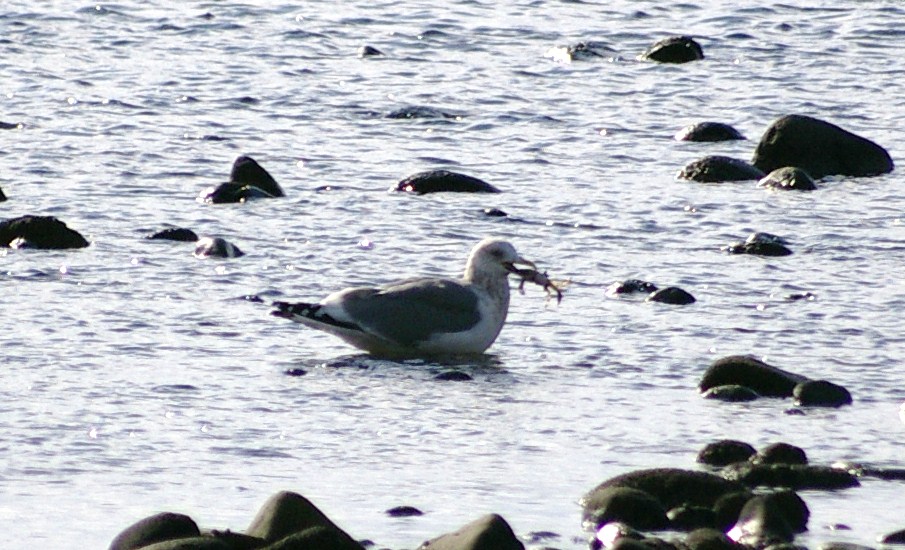 e0197884_19201418.jpg