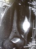 f0069890_20185113.jpg