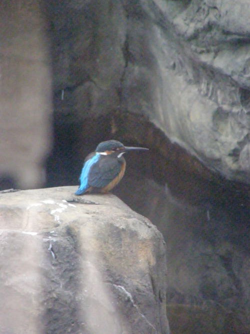 e0017396_2036714.jpg