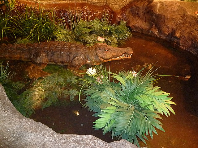 c0138198_21575751.jpg