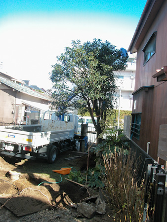 f0239100_8392587.jpg