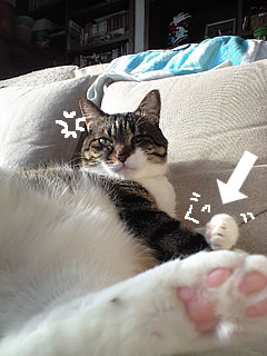 c0035001_16531880.jpg