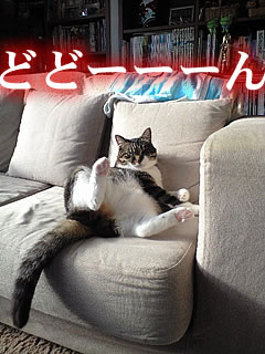 c0035001_16532317.jpg