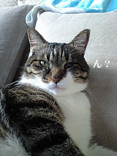 c0035001_16532910.jpg